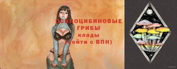 PSILOCYBIN Арсеньев
