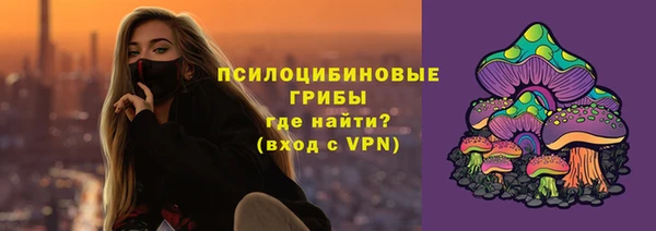 спиды Аркадак