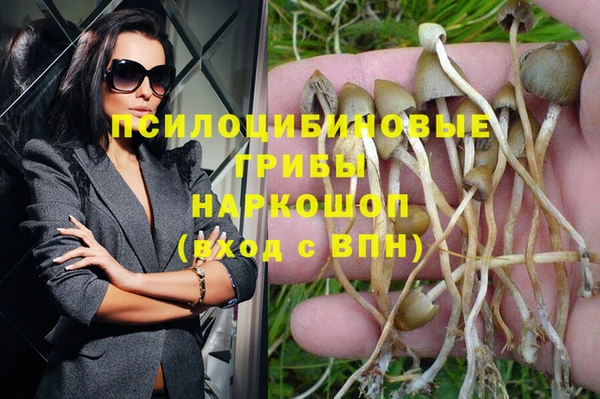 шишки Богданович