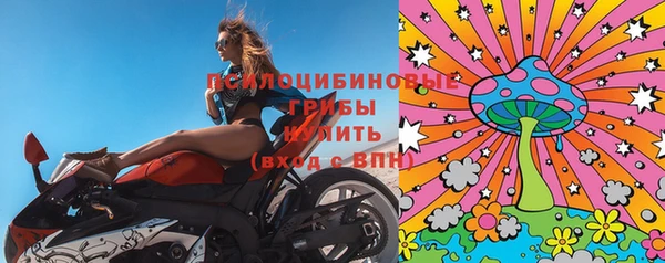 PSILOCYBIN Арсеньев