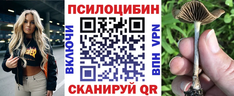 OMG онион  Красный Кут  Галлюциногенные грибы Cubensis  цена  